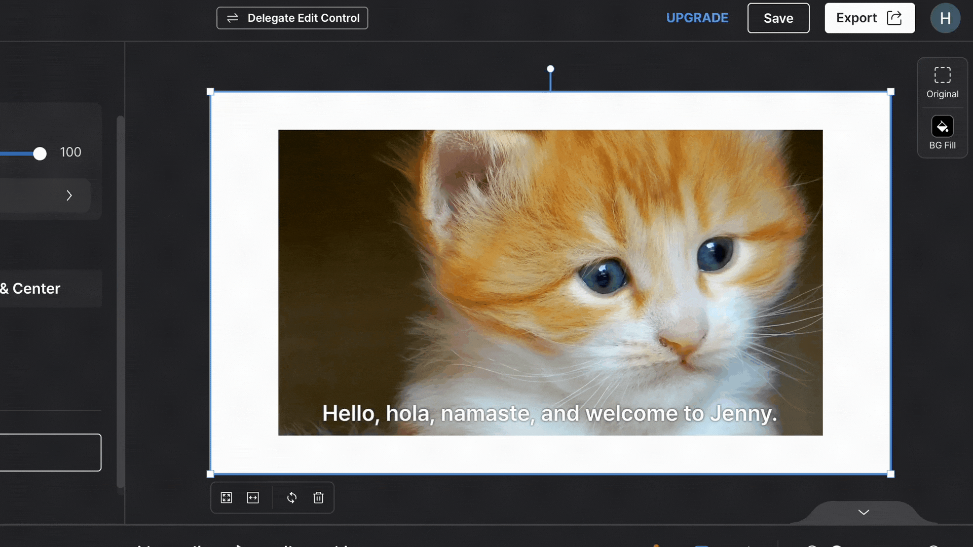 How To Change Aspect Ratio and Background Fill